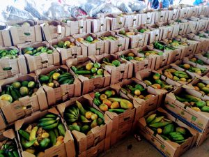 PAA do Sistema Sepror faz primeira entrega de produtos regionais a entidades carentes em Manacapuru