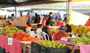 Amazonenses têm opções de produtos orgânicos em duas feiras da ADS