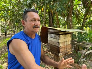 Meliponicultor prevê expansão da criação de abelhas a partir de incentivo do Governo do Amazonas