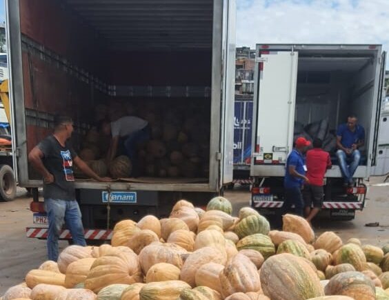 Balcão de Agronegócios: ADS escoa 15 toneladas de produtos nesta segunda-feira