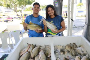 Imagem da notícia - Feirão do Pescado oferece quatro pontos de vendas em Manaus