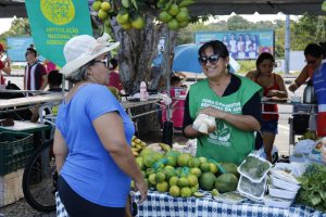 Imagem da notícia - Feira de Produtos Orgânicos da Agricultura Familiar abre Semana Nacional do Alimento Orgânico no Amazonas