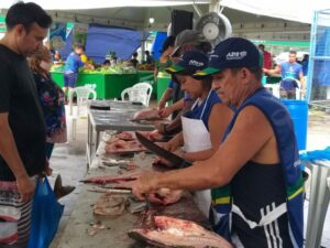 Imagem da notícia - Semana Santa: FVS-RCP alerta sobre cuidados na compra e consumo de pescados