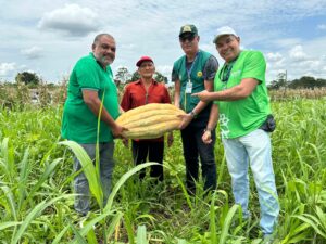 Imagem da notícia - Governo do Amazonas faz avaliações de capacidade produtiva dos agricultores para negociação por meio do Balcão de Agronegócios