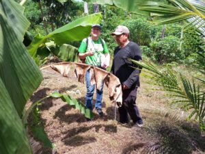 Imagem da notícia - Governo do Amazonas realiza consultoria agrícola para produtores rurais participantes das feiras da ADS